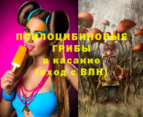 гидропоника Алзамай