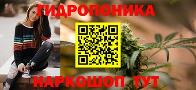 мдпв Пушкино