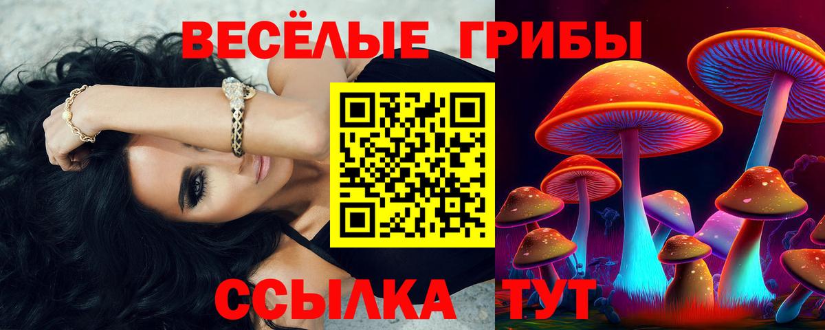 Псилоцибиновые грибы прущие грибы Тольятти