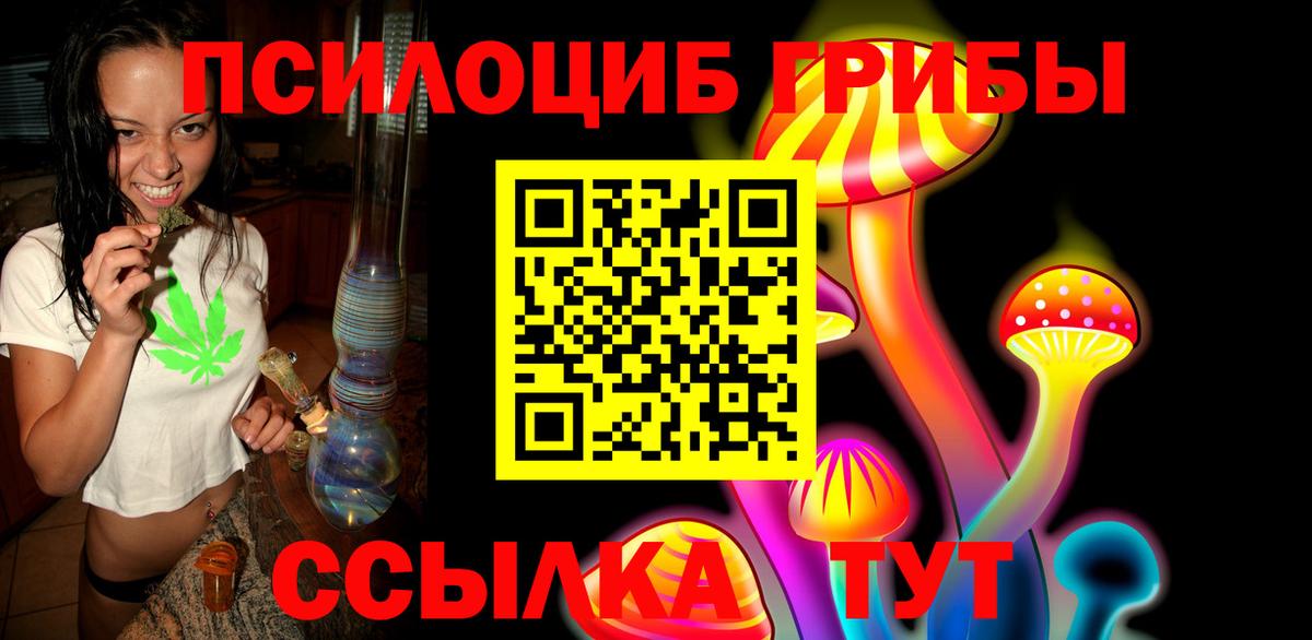 Псилоцибиновые грибы прущие грибы  купить наркотик  Вход с VPN  Тольятти  Галлюциногенные грибы Psilocybine cubensis 